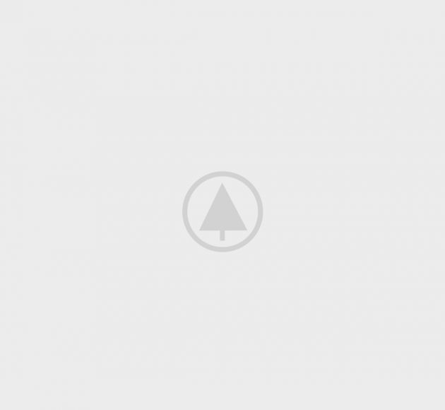 wood-portfolio-placeholder